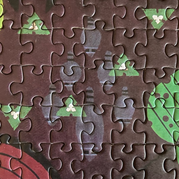 Birducopia 1000 Piece Puzzle - Picture 5 of 9